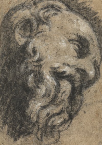 Estudio después de San Damián de Miguel Ángel, c. entre 1545 y 1550 de Jacopo Robusti Tintoretto